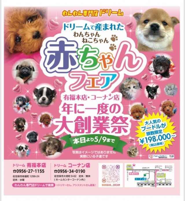 長崎、佐世保の犬、ペットショップ、子犬販売、美容、ペットホテル